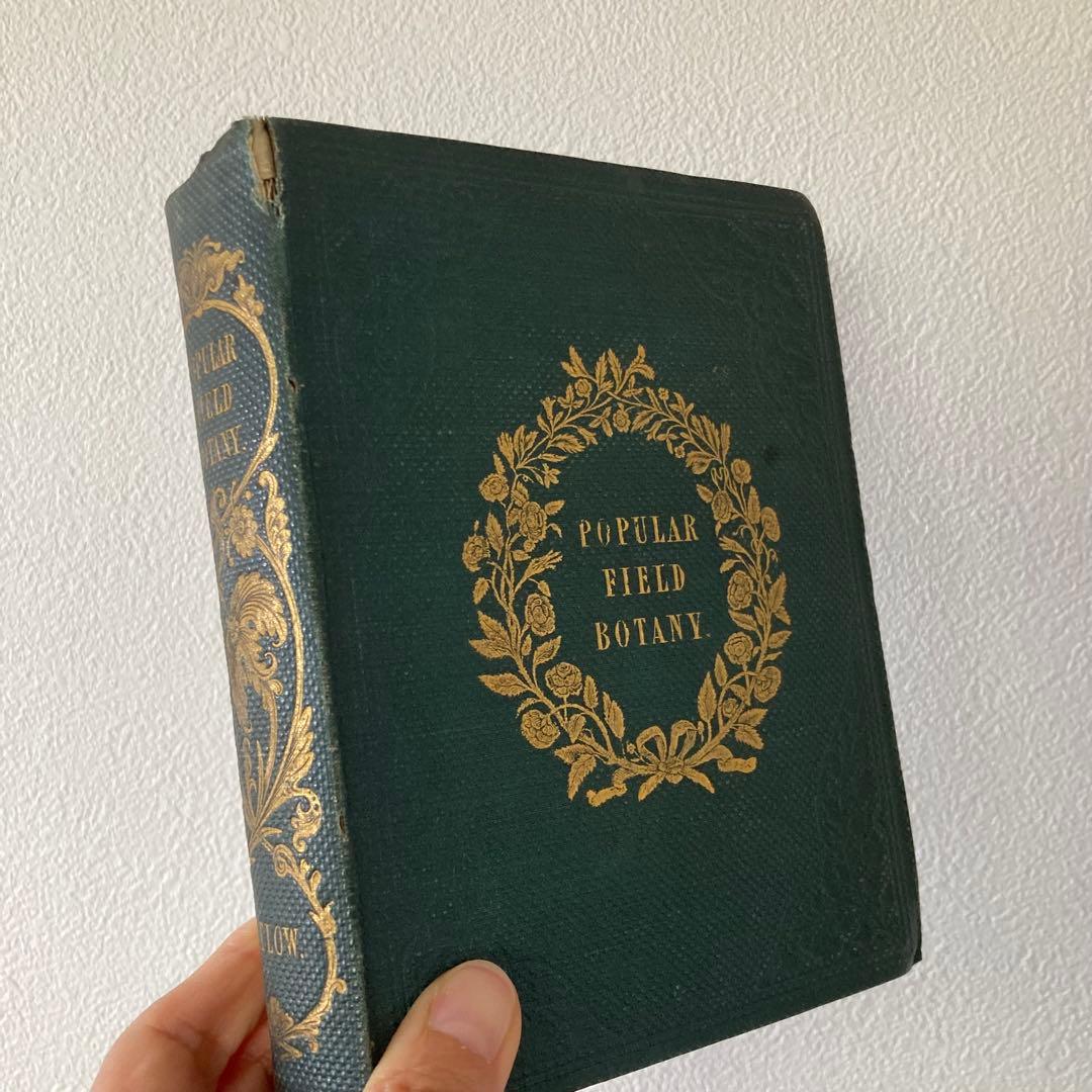 L833洋書古書 【1852年発行】大変希少なイギリスのアンティーク植物図鑑