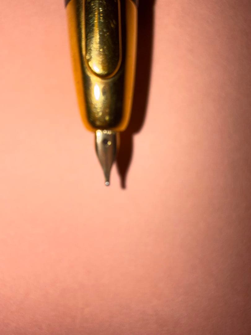 J*y様 PILOT キャップレス（ニブM）