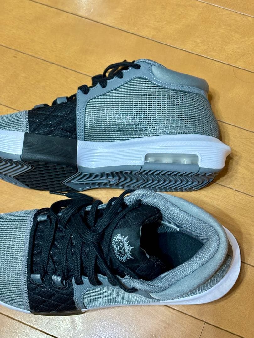 新品　ナイキ レブロン ウィットネス VIII EP 　Mens 27センチ