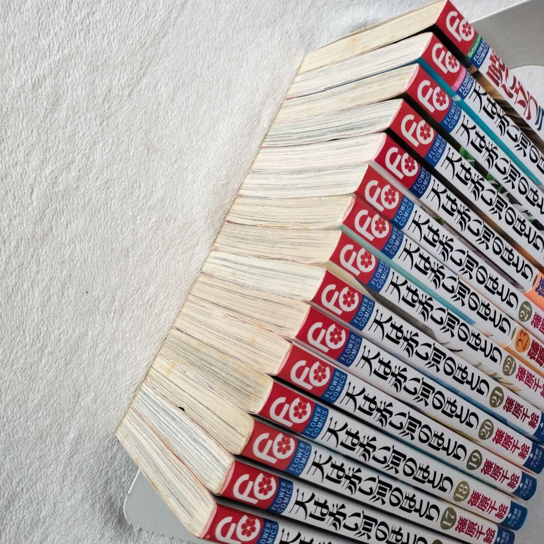 セール 全巻☆ 初版 天は赤い河のほとり 全28巻 暁に立つライオン 篠原千絵