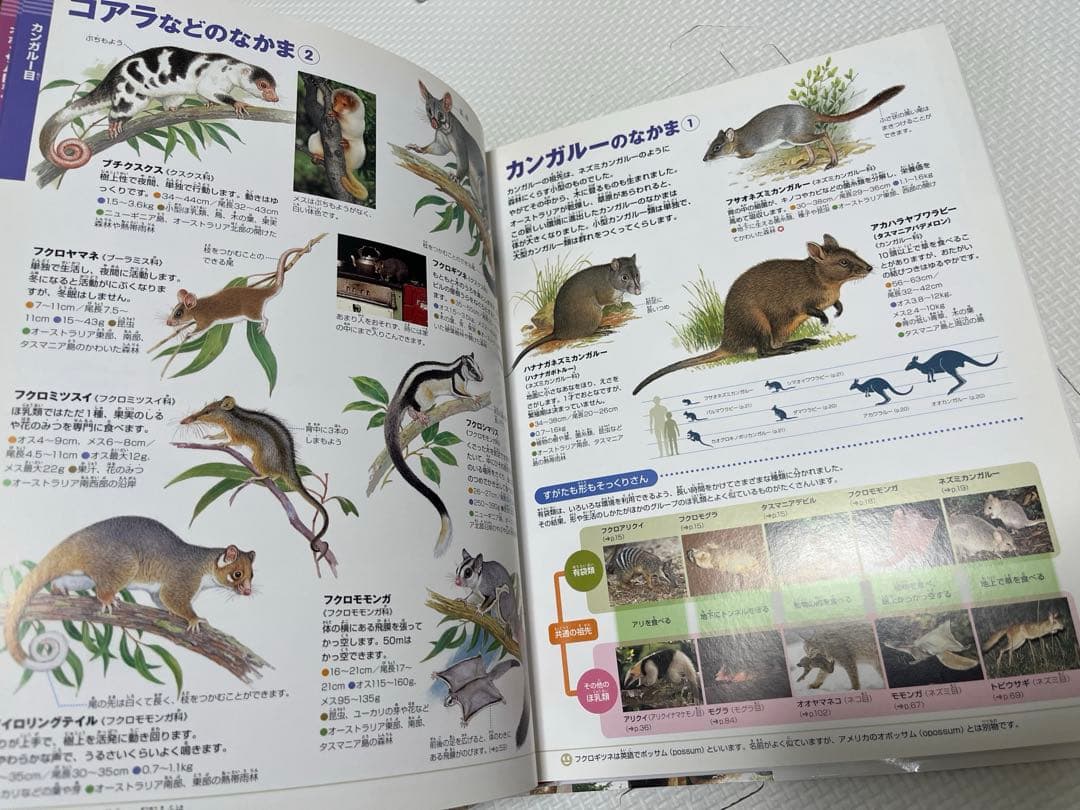 小学館の図鑑NEO 7冊セット