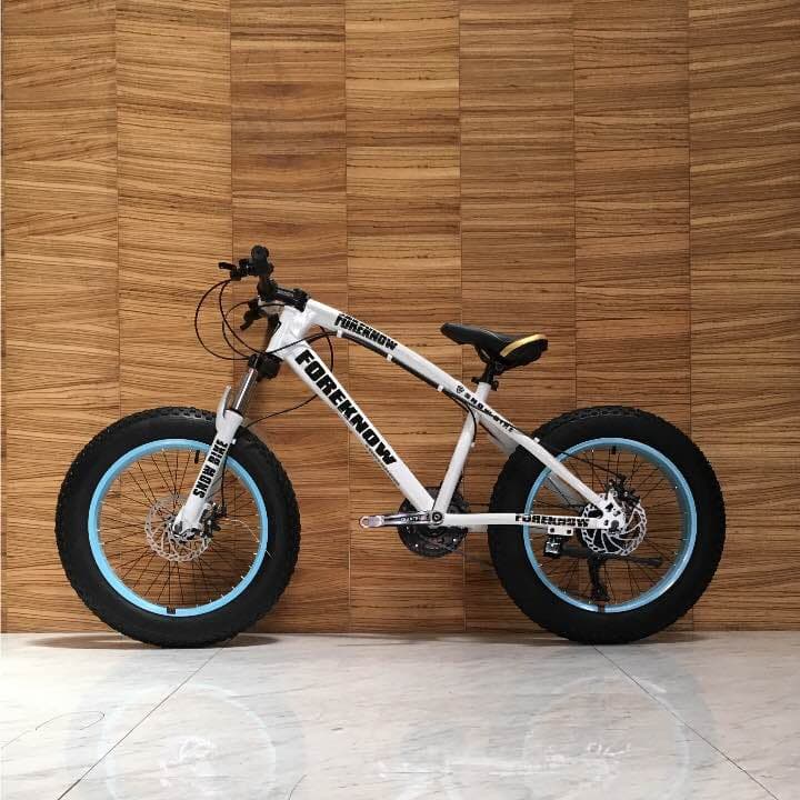 新品 ファットバイク ビーチクルーザー 20インチ