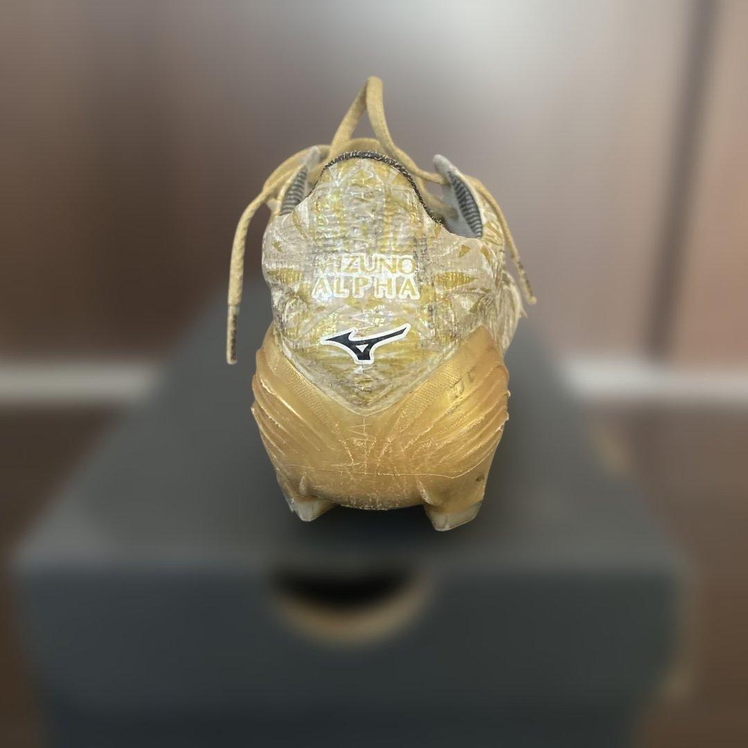 【限定】ミズノαJapan 24.5cm 中古　おまけ付