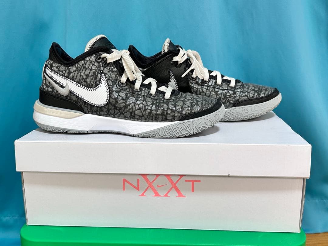 NIKE LEBRON NXXT Genナイキ レブロン　ネクストジェン26cm