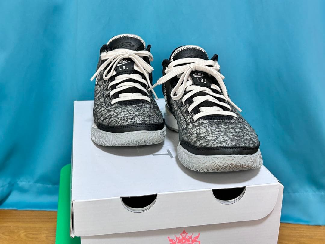 NIKE LEBRON NXXT Genナイキ レブロン　ネクストジェン26cm