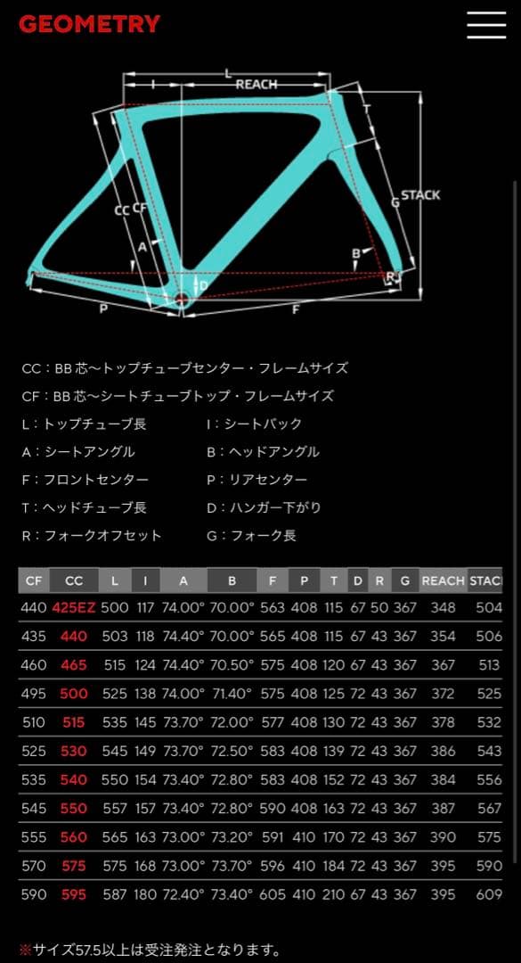 Pinarello ピナレロ ガン RS T900