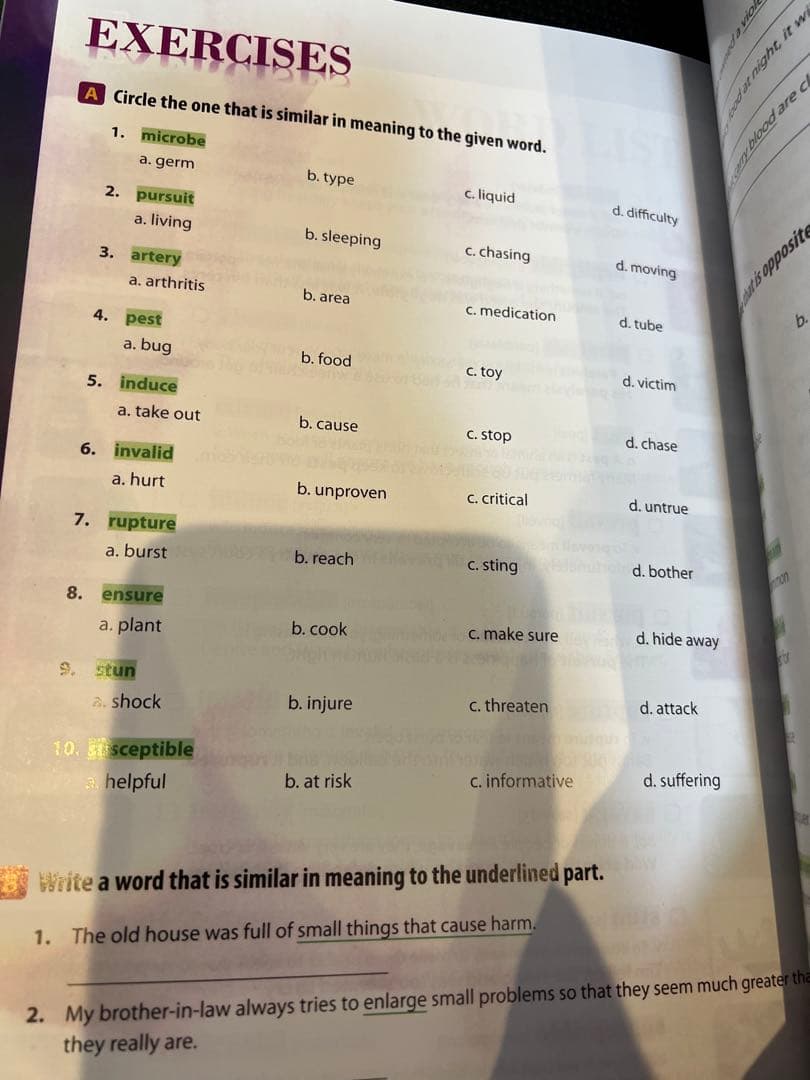 洋書4000 Essential English Words 1-6 未使用