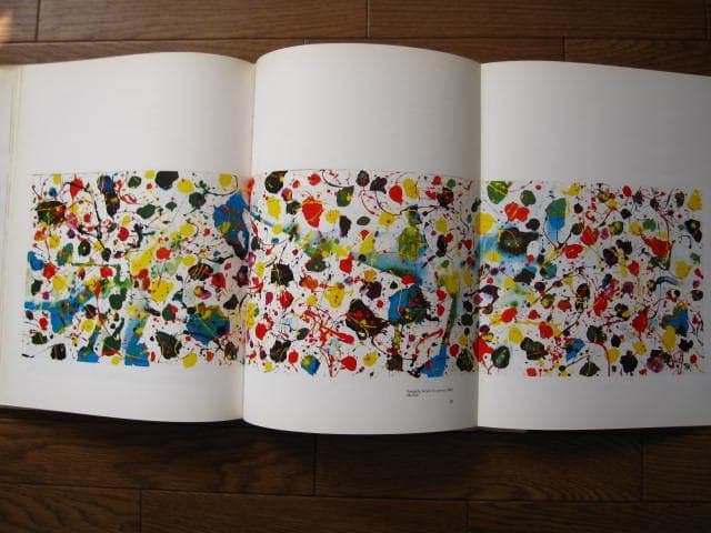 physics of the Void　Sam Francis