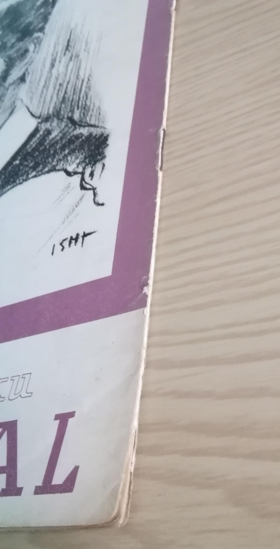 (レア)映画パンフレット　「噂の二人」　オードリー・ヘップバーン