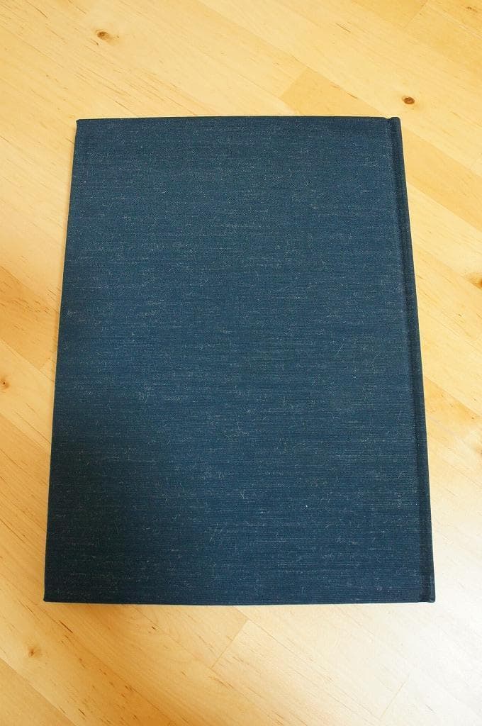 臨床家向け　超音波の新しい使い方　加瀬健三　キネシオ　整体