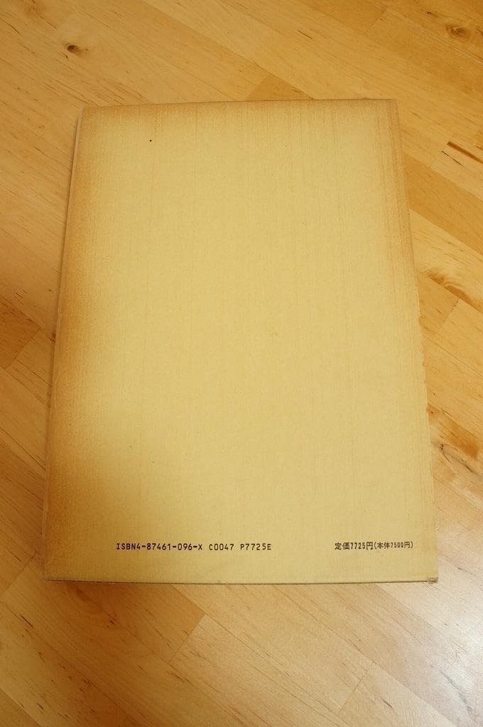 臨床家向け　超音波の新しい使い方　加瀬健三　キネシオ　整体