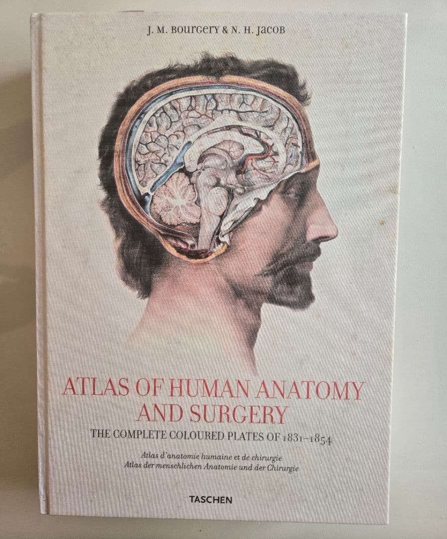 解剖学書　貴重　オステオパシー