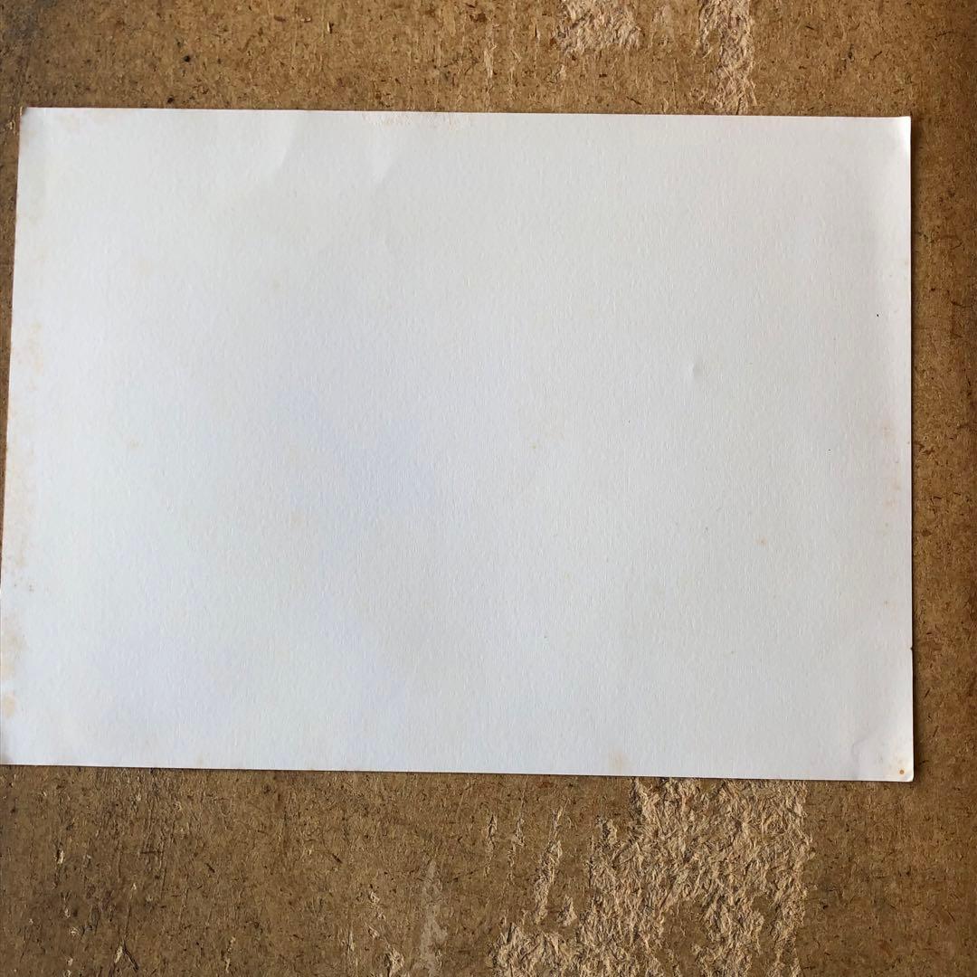 【直筆サイン入り】ジョアン・フック リトグラフ?