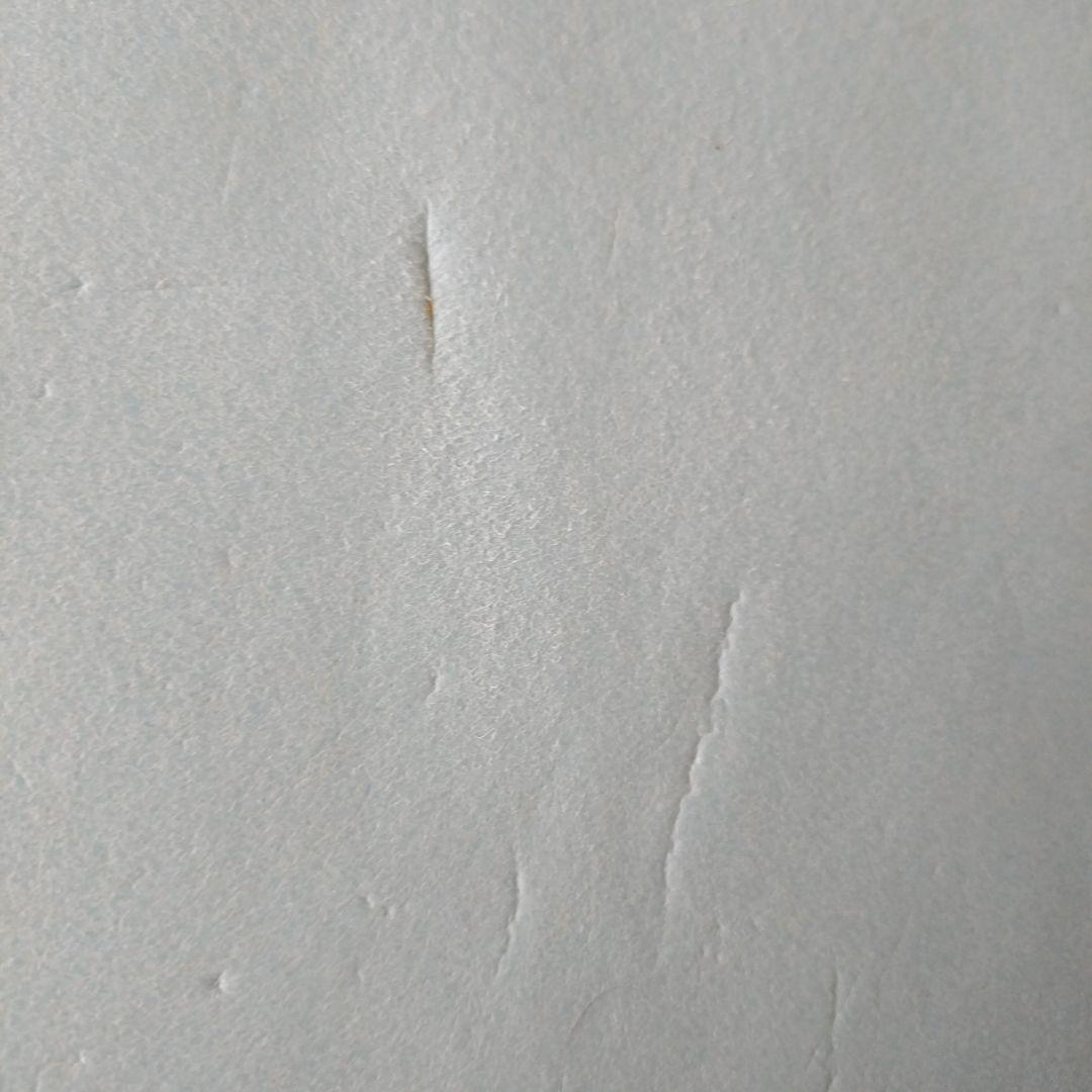 ボディボード フィン ソフトケースのセット