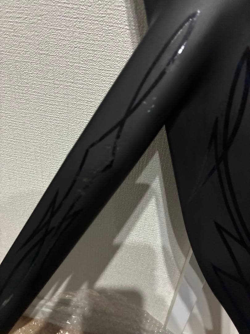 LEADER 735 フレームセット サイズSM 世界 1台