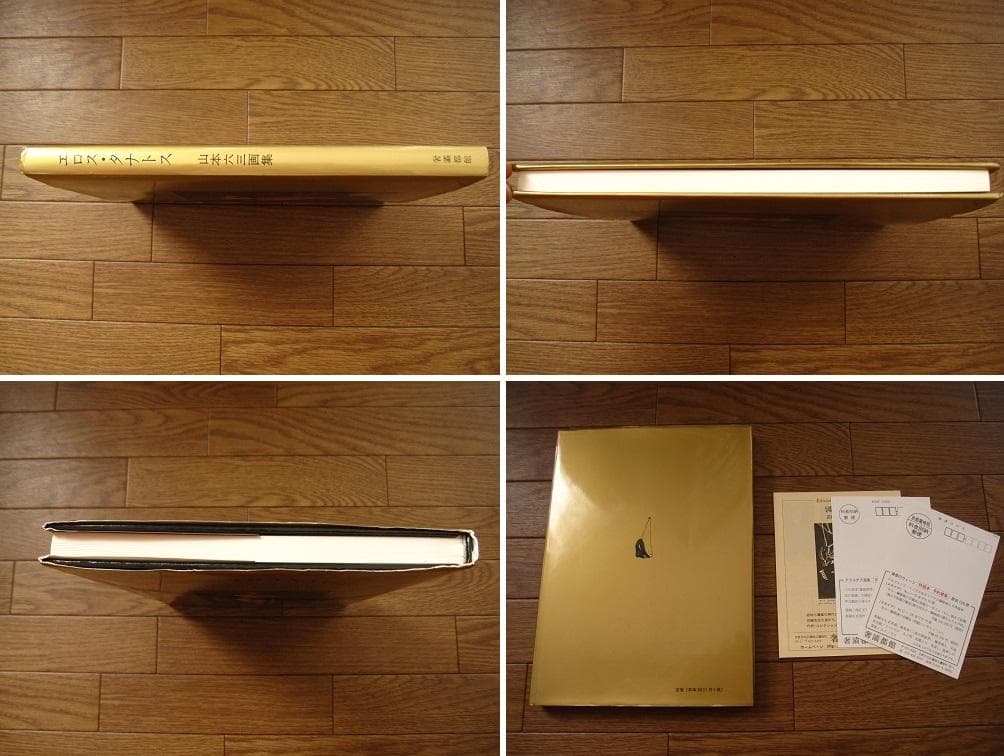 山本六三　画集　エロス・タナトス