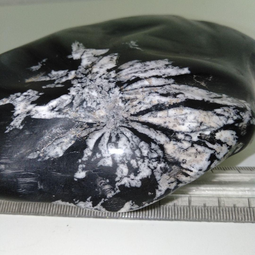 菊花石　黒石　水石　台付き１個