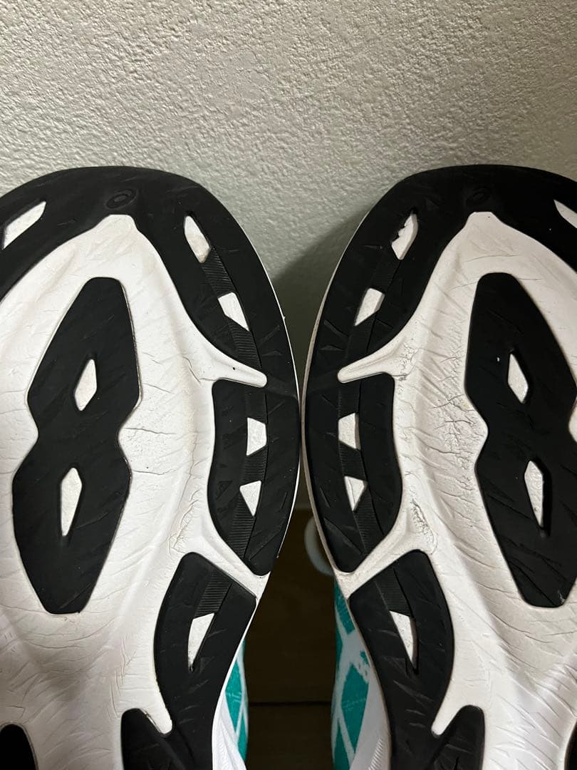 asics dynablast5 アシックス　ダイナブラスト5 28.5センチ