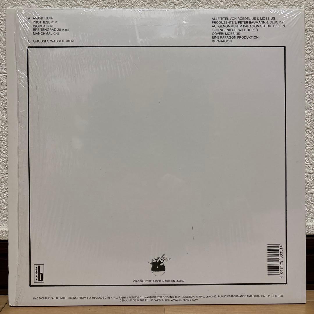 ドイツ盤 Cluster Grosses Wasser レコード クラスター