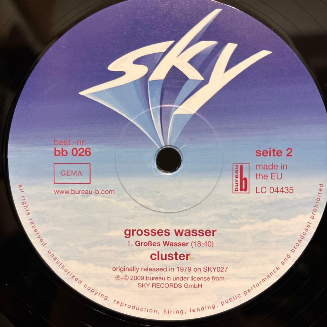 ドイツ盤 Cluster Grosses Wasser レコード クラスター
