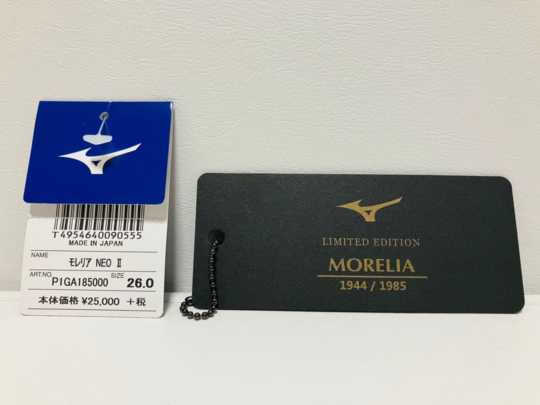 【大幅値下げ】限定モレリアネオ2 ブラックアウト　26cm