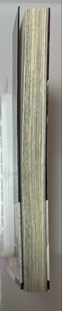 呪術廻戦 芥見下々 17巻 アニメイト 特典 カード イラスト 五条悟