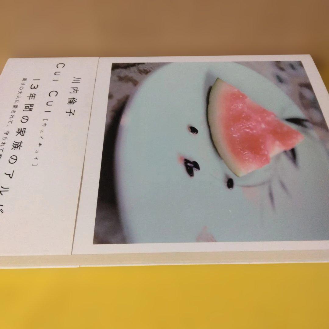 CUI CUI 川内倫子