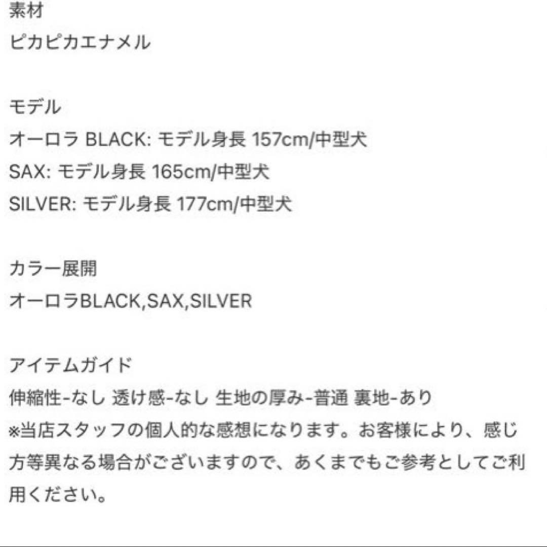 GALFY オーロラ ナイロンパンツ 賛否両論 極光 黒 翡翠 銀 XLサイズ