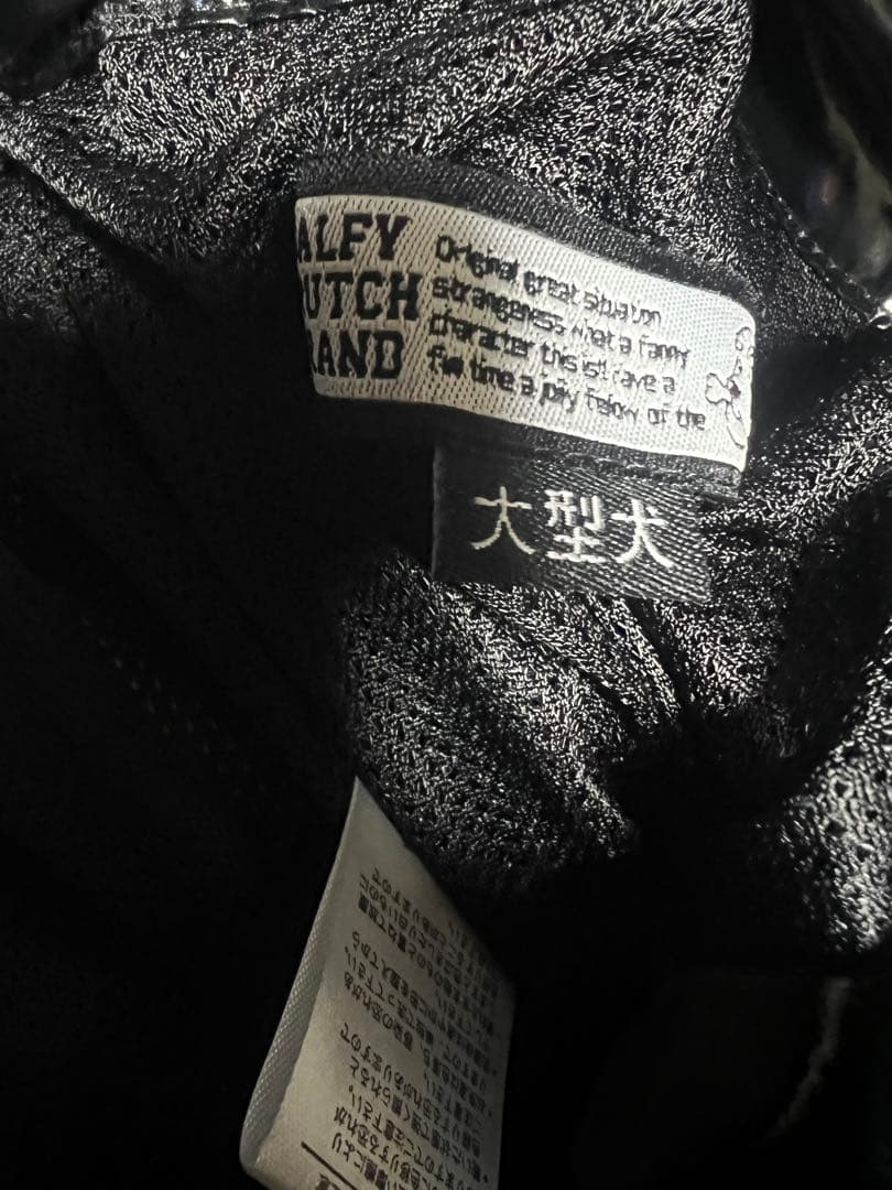 GALFY オーロラ ナイロンパンツ 賛否両論 極光 黒 翡翠 銀 XLサイズ