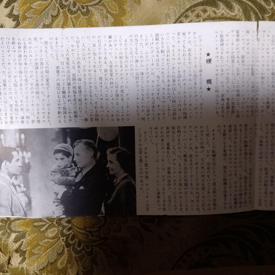 愛情物語 パンフレット