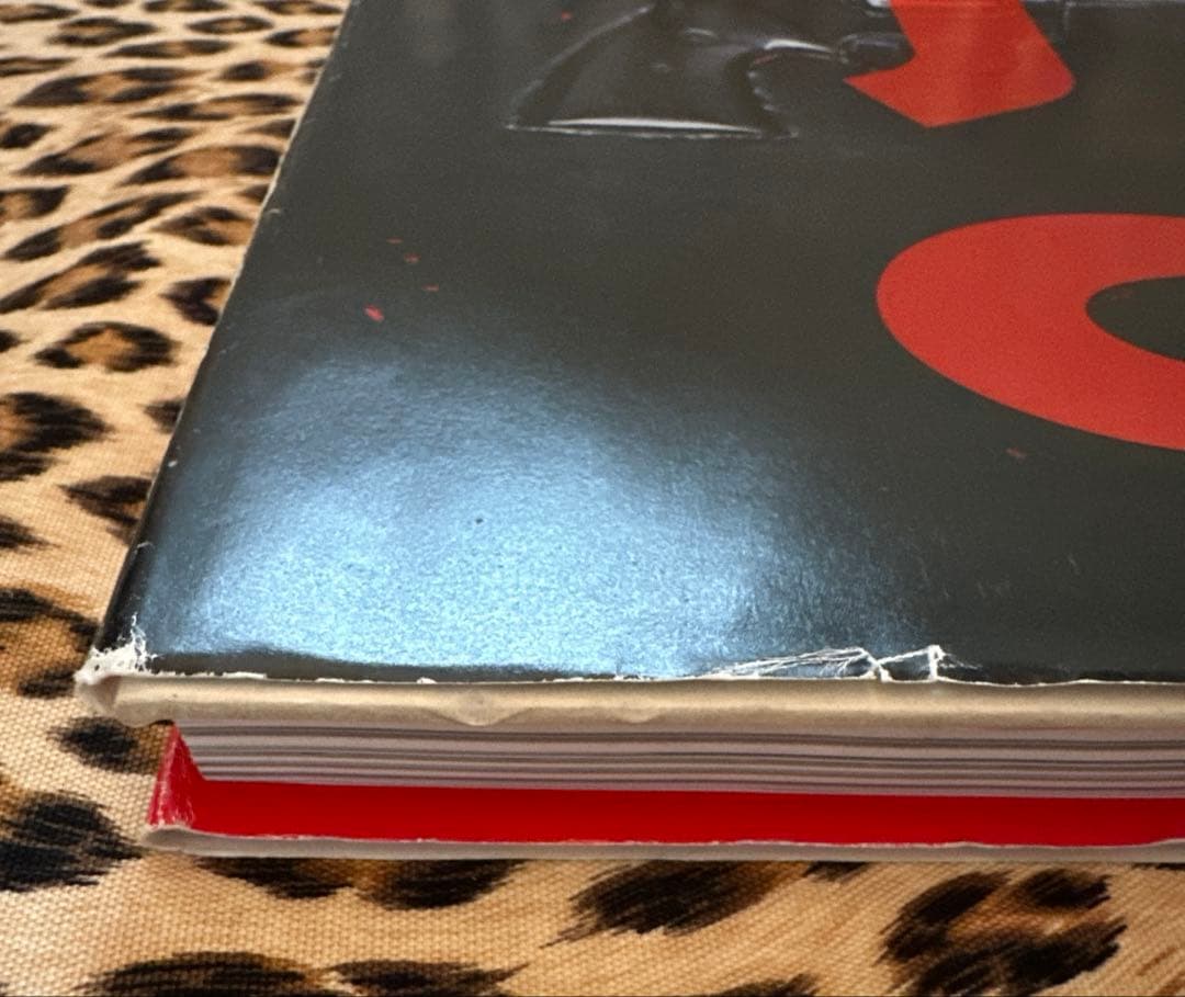 ブランキージェットシティ　本　浅井健一