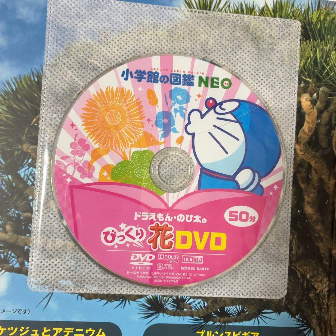 小学館の図鑑neo 11冊セット