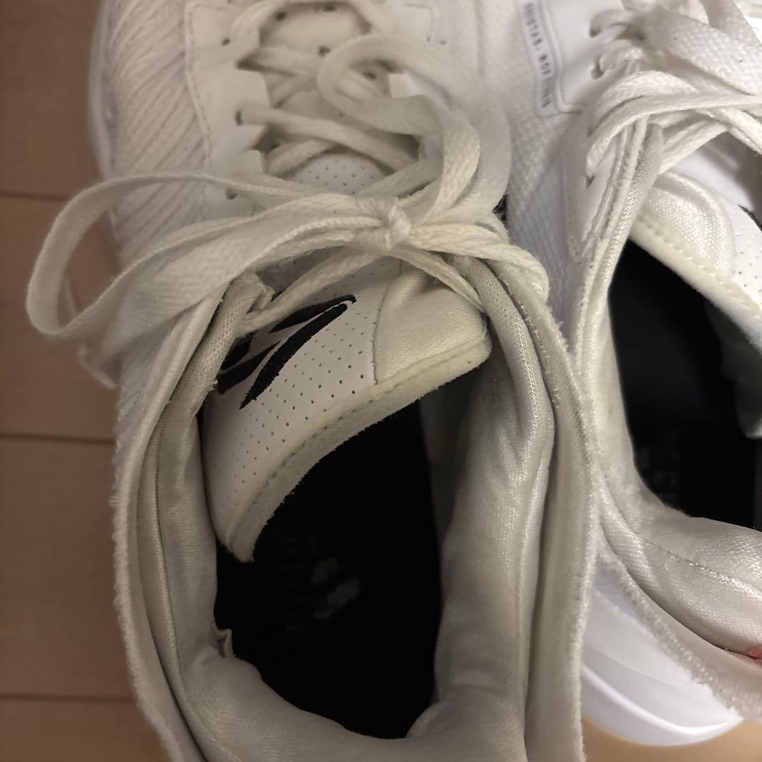 NIKE JORDAN LUKA1PF 28.5 シューズクリーニング済み