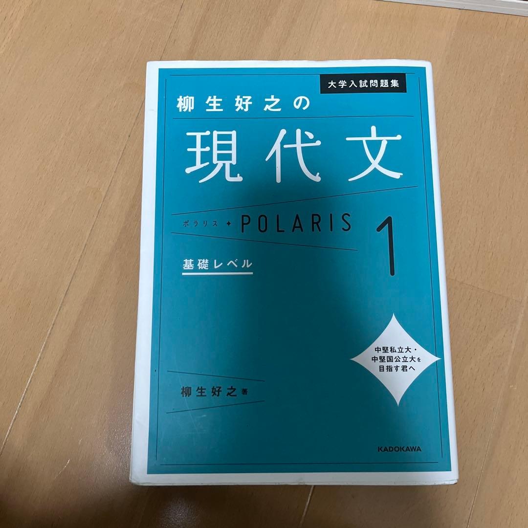 国語 現代文 古文 参考書セット
