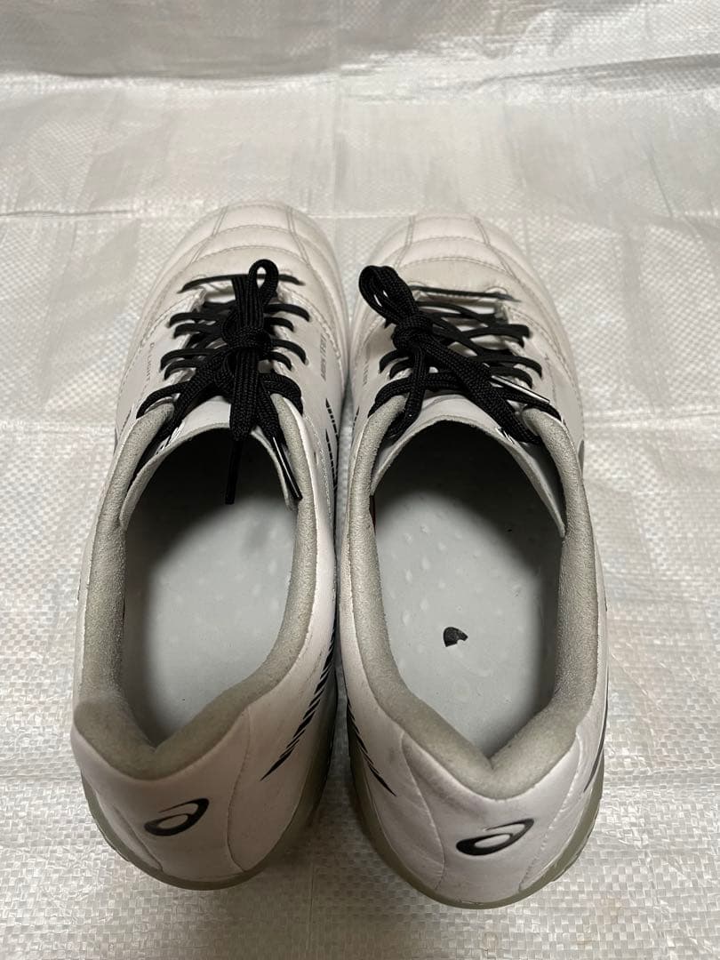 シューズ DS LIGHT X-FLY 5 27cm