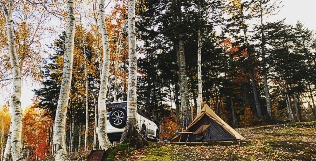 テント・タープ PANDA TC