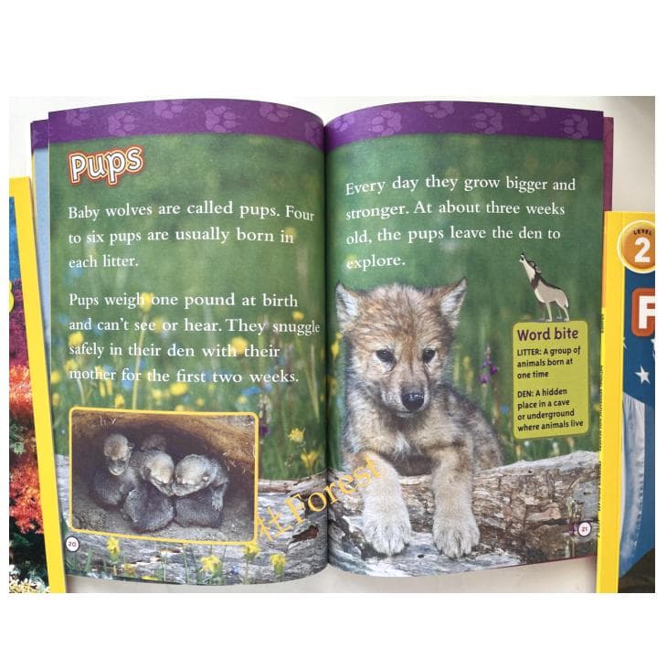 新品 National Geographic Kids 絵本155冊 音源付