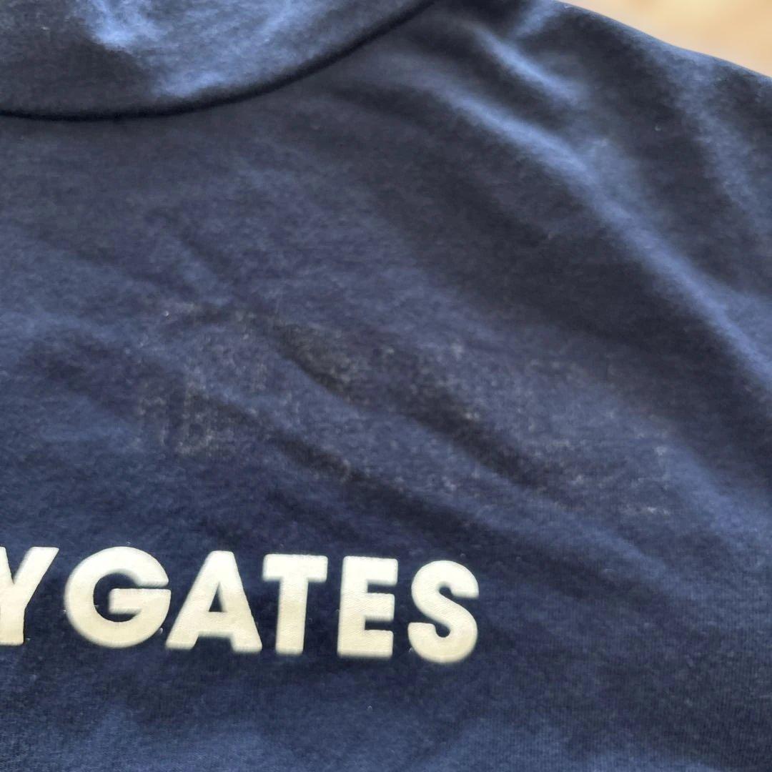 パーリーゲイツ　ロゴ長袖モックネック1紺とマスターバニー　ロゴ赤スカート2