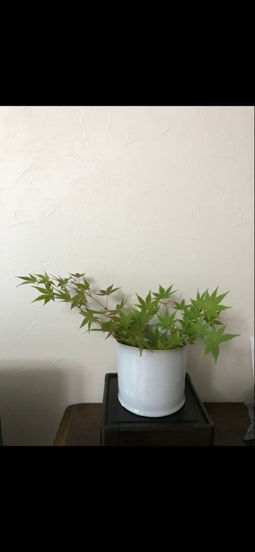 芦澤龍夫さん作品　淡い青色 花器