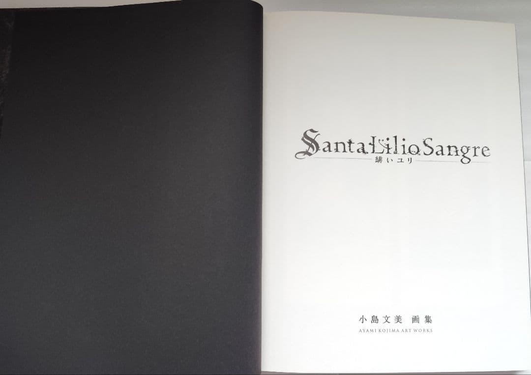 小島文美 画集 イラスト集 緋いユリ　Santa Lilio Sangre