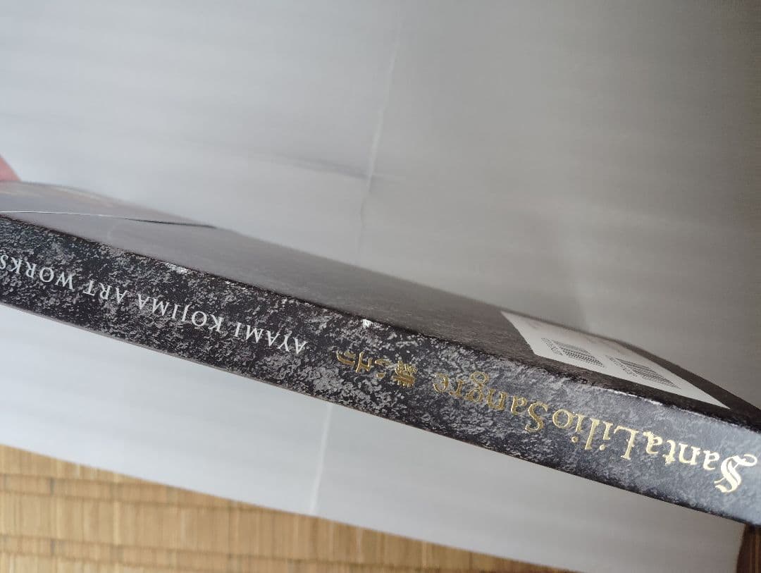 小島文美 画集 イラスト集 緋いユリ　Santa Lilio Sangre