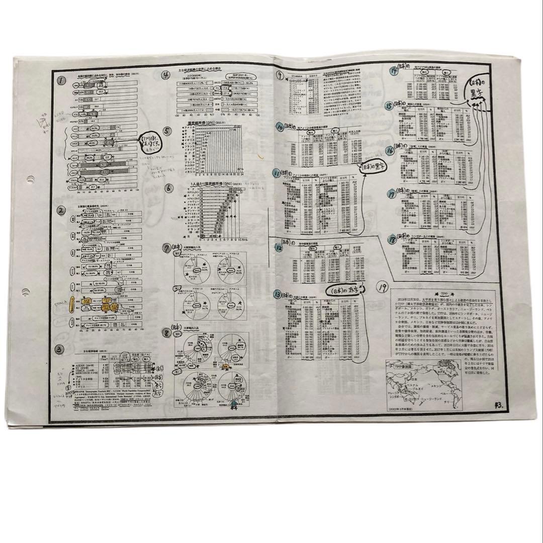 【岡田了一郎先生】駿台『通期　地理　オリジナルプリント』 73枚　MSクラス