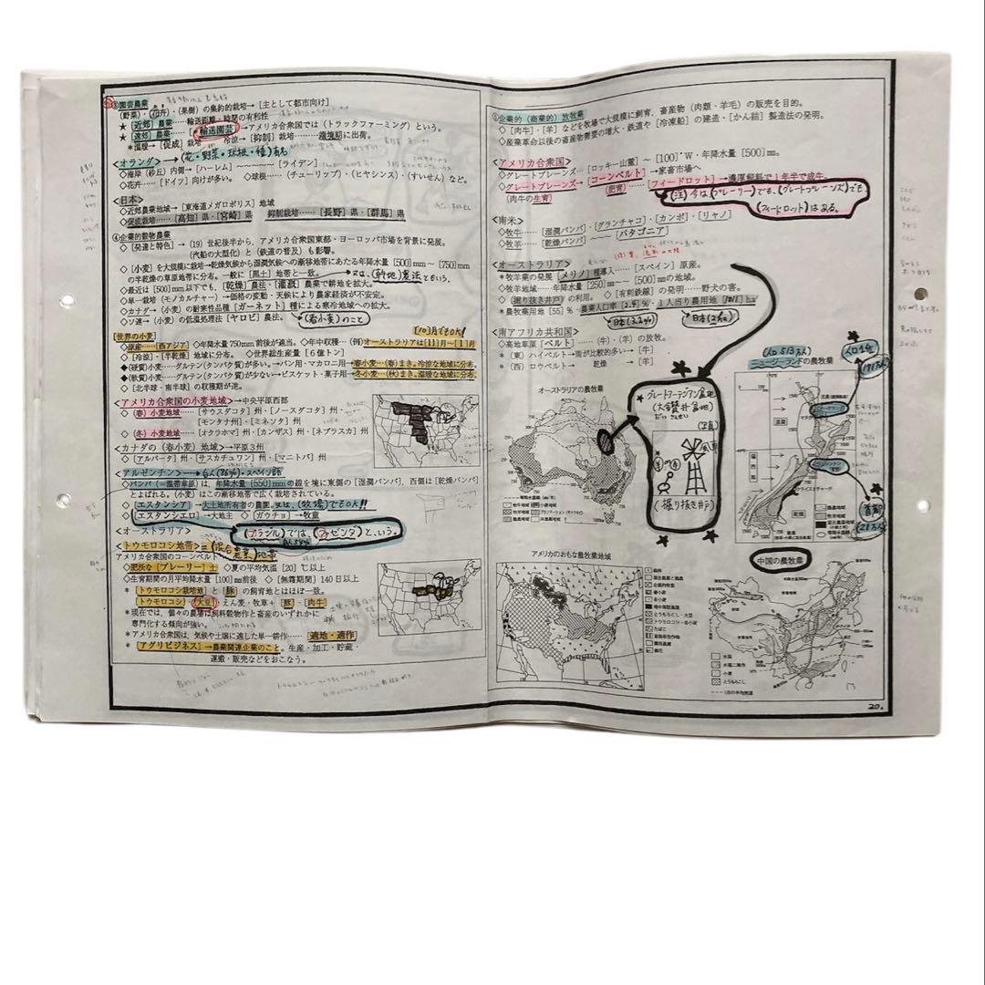 【岡田了一郎先生】駿台『通期　地理　オリジナルプリント』 73枚　MSクラス