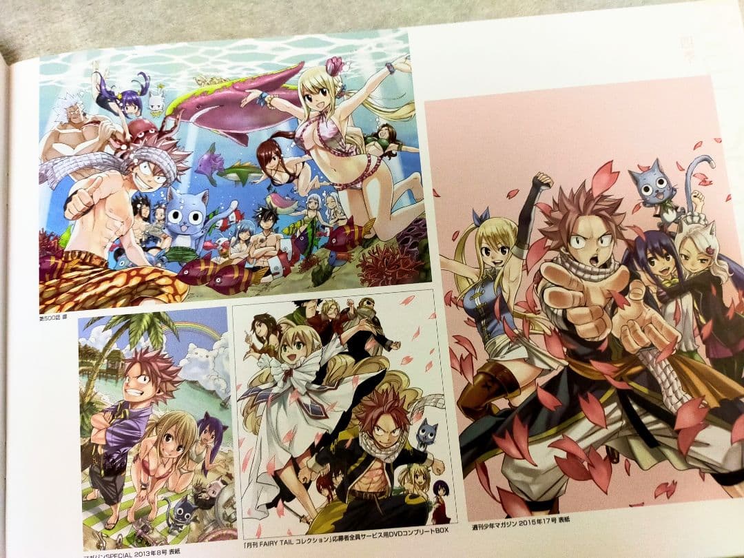 FAIRY TAIL　フェアリーテイル　イラスト集　パンフレット　真島ヒロ原画展