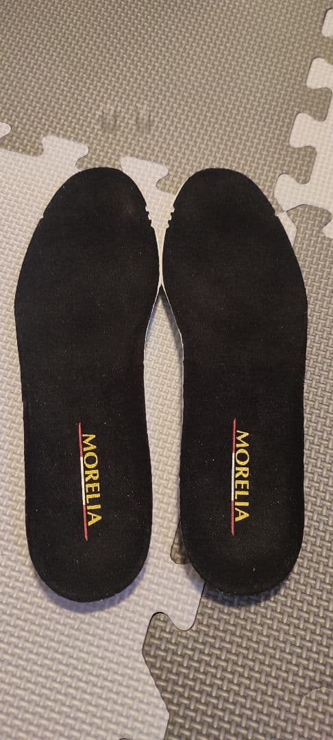 [xtxexrxux]　MIZUNO ミズノ モレリア2