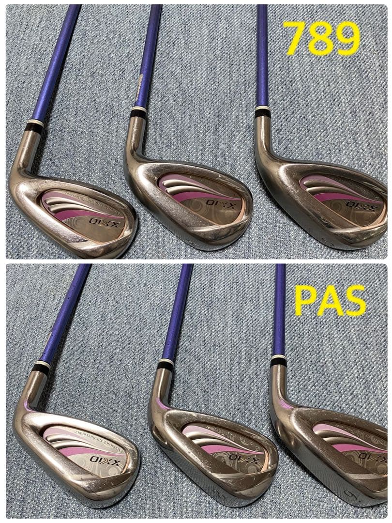 XXIO 11 10本＆XXIO 10ドライバー +パター レディース Ｌ
