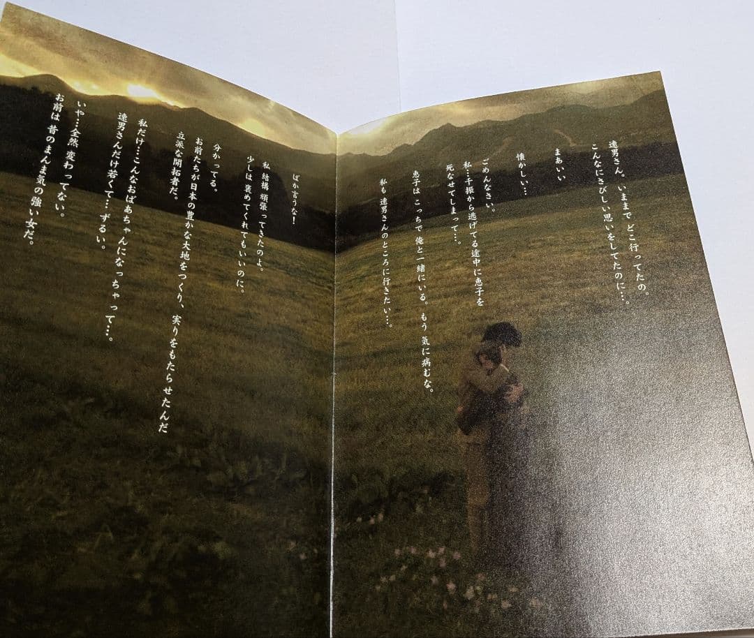 開拓者たち DVD BOX レア 満島ひかり 石田卓也 綾野剛