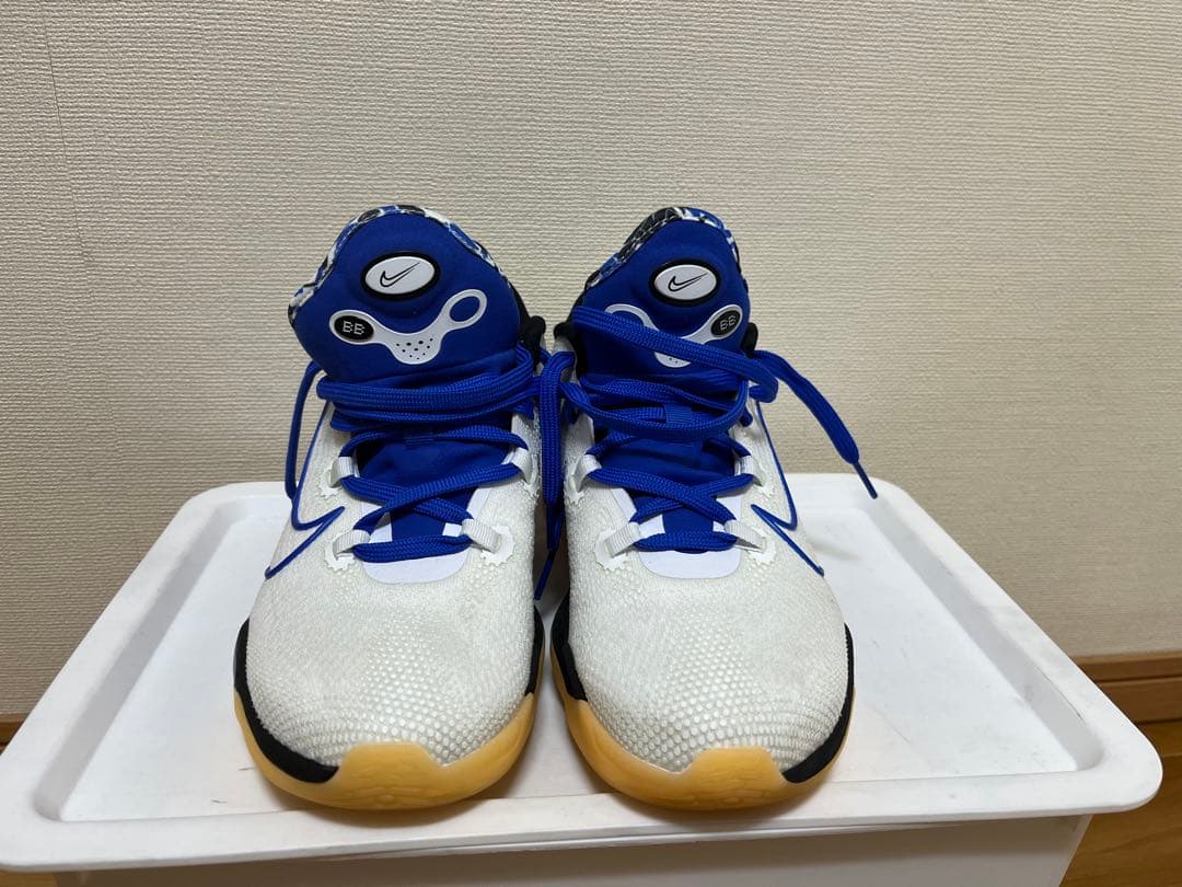 シューズ(男性用) NIKE AIR ZOOM BB NXT DB9990-100