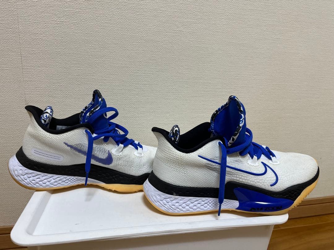 シューズ(男性用) NIKE AIR ZOOM BB NXT DB9990-100