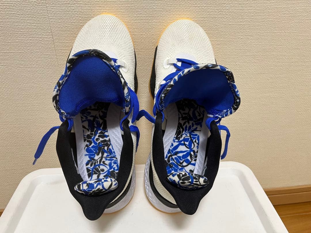 シューズ(男性用) NIKE AIR ZOOM BB NXT DB9990-100